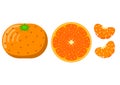 3 types of tangerine illustrations